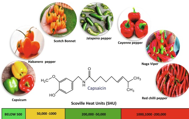 What Foods Contain Capsaicin.png